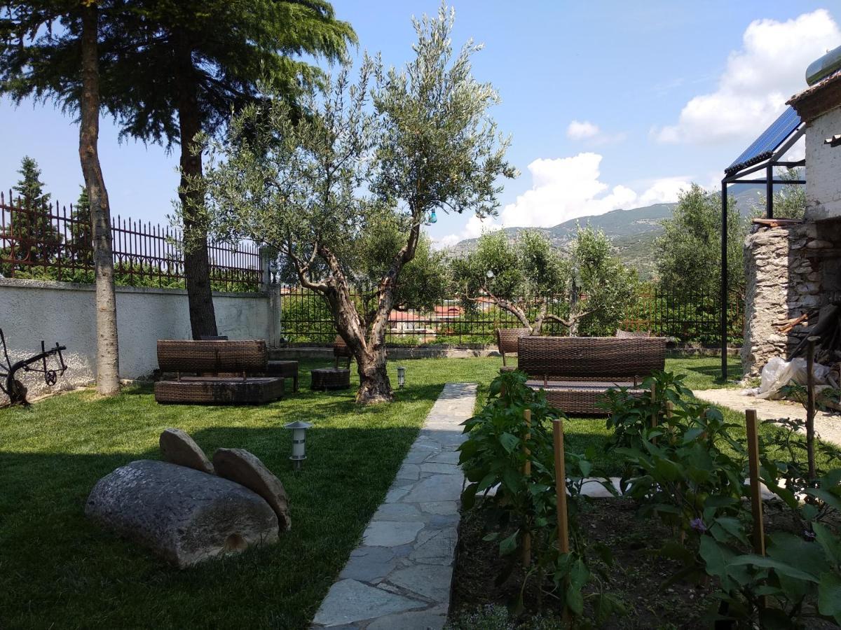Villa Agnanti Apts And Suites Agio Pnevma Exterior foto